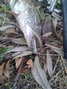 20170903_073358.jpg