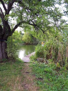 20170901_161758.jpg