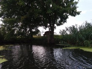 20170903_102838.jpg