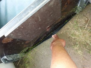 20170903_151001.jpg