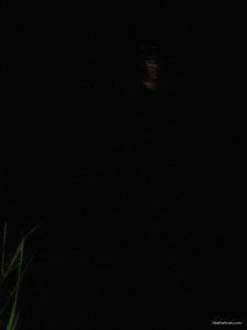 IMG_20170902_222822.jpg