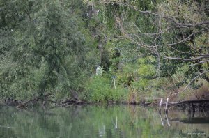 DSC_8368.JPG