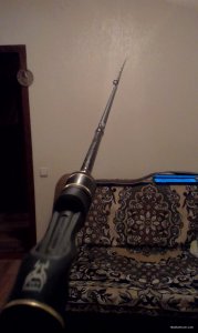 IMAG0534.jpg