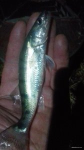 20170901_221148.jpg