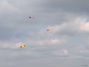 IMG_20170903_125648.jpg