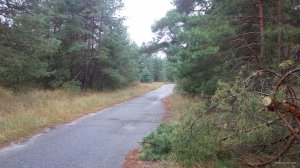 IMG_20170908_074856.jpg