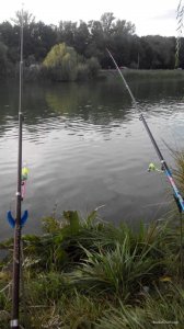 received_241587756365042.jpeg