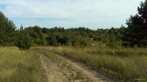 IMG_20170910_141940.jpg