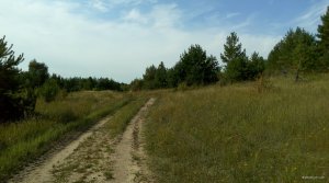 IMG_20170910_141958.jpg