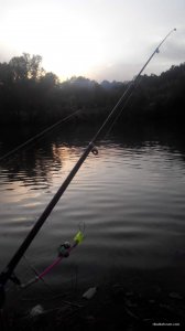 received_241587813031703.jpeg