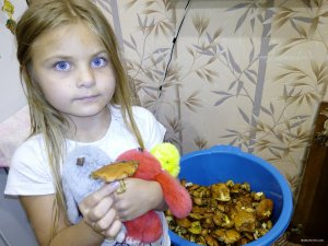 IMG_20170910_230209.jpg