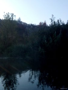 DSC_0120.jpg