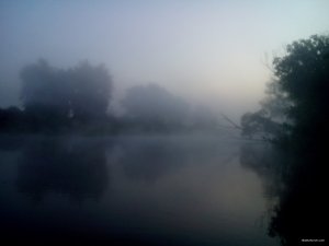 DSC_0118.jpg