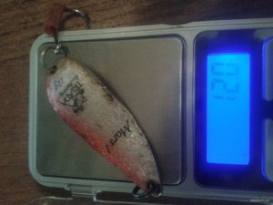 20170912_210343.jpg
