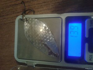 20170912_210400.jpg
