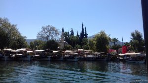 20170905_104314.jpg