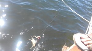 20170905_123056.jpg