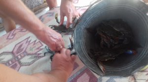20170905_123826.jpg