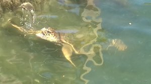20170905_111909.jpg