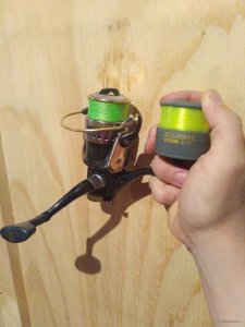 IMG_20170912_204512.jpg