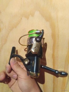 IMG_20170912_204400.jpg