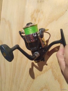 IMG_20170912_204351.jpg