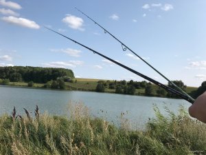 IMG_1827.jpg