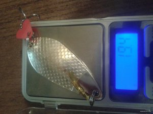 20170912_210522.jpg
