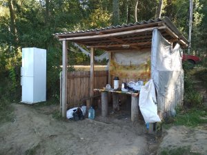 IMG_20170914_161728.jpg