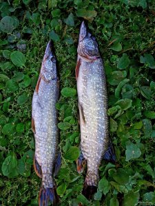 20170916_154608.jpg