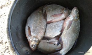 20170916_152715.jpg