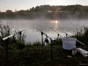 IMG_20170913_085643_214.jpg