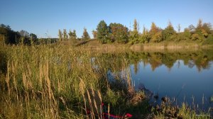 WP_20170916_009.jpg