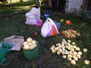 IMG_20170917_160805.jpg