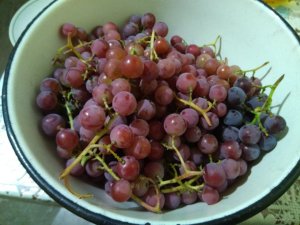 IMG_20170917_202913.jpg