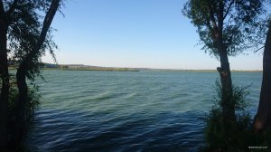 DSC_0367k.jpg