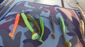 IMG_20170917_075222.jpg