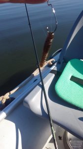 IMG_20170917_094053.jpg