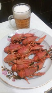 IMG_20170918_204240.jpg
