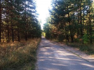 20170917_084128.jpg