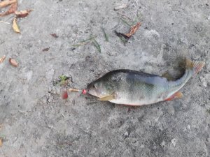 20170917_062724.jpg