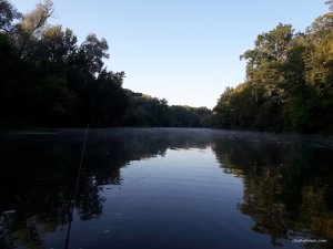 20170917_071930.jpg