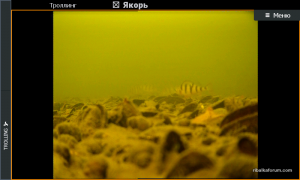 Screenshot_2017-09-22_09.24.25.png