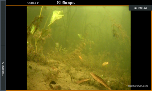 Screenshot_2017-09-22_09.54.52.png