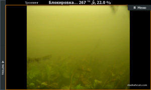 Screenshot_2017-09-22_11.50.16.png
