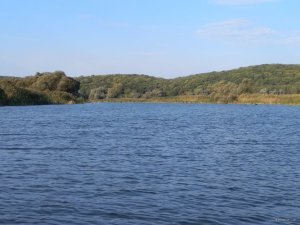 IMG_20170923_082955.jpg