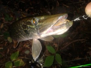20170924_070018.jpg