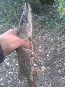 20170924_080445.jpg