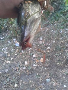 20170924_080451.jpg