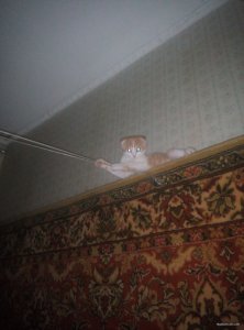 IMG_20170919_004410.jpg